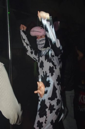 IMGP0082