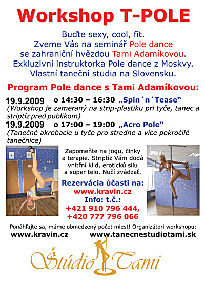 Workshop T-pole